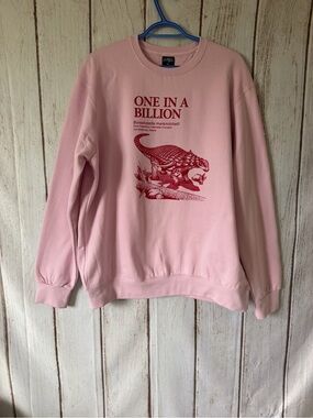 River Wear Pink One In A Billion Dinosaur Sweatshirt Size L Borealopelta Alberta